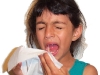 Sneezing and Tissues2.jpg